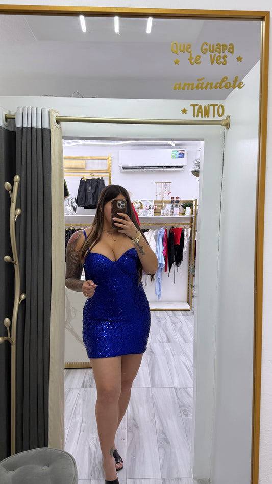 Royal Sequin Dress